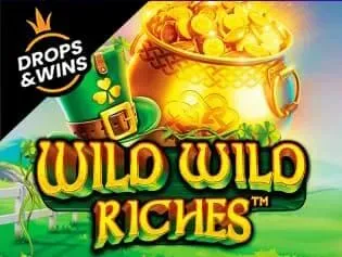 Wild Wild Riches screenshot